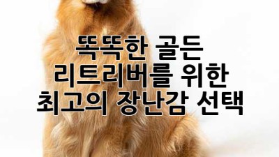 똑똑한 골든 리트리버를 위한 최고의 장난감 선택