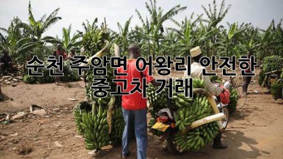 순천 주암면 어왕리 안전한 중고차 거래
